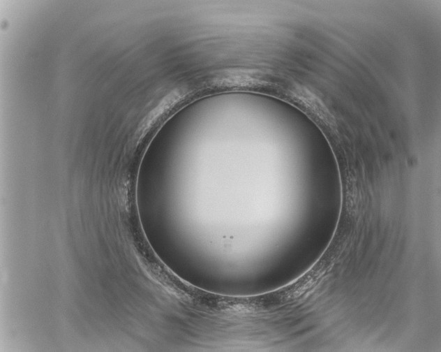 X0000060240111200510311532