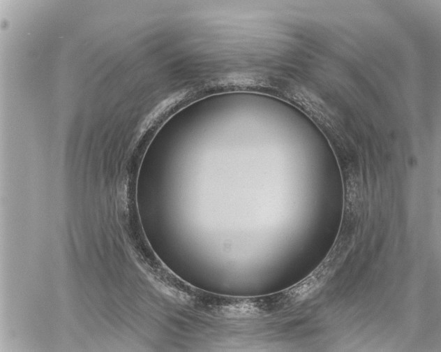 X0000060240112200510311532