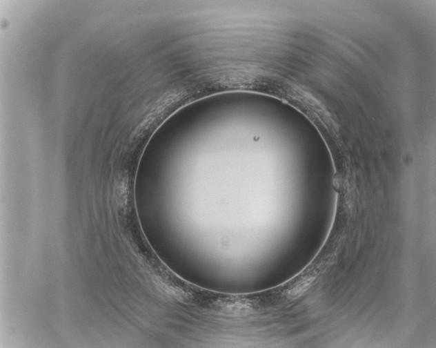 X0000060240113200510311532