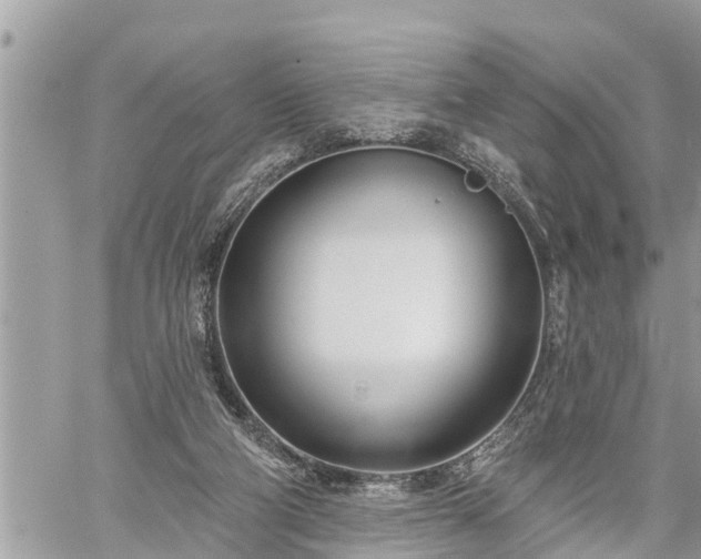 X0000060240114200510311532