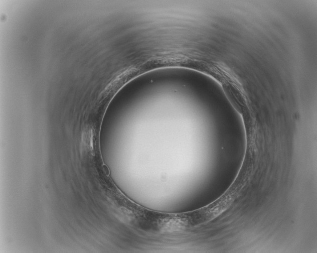 X0000060240115200510311532