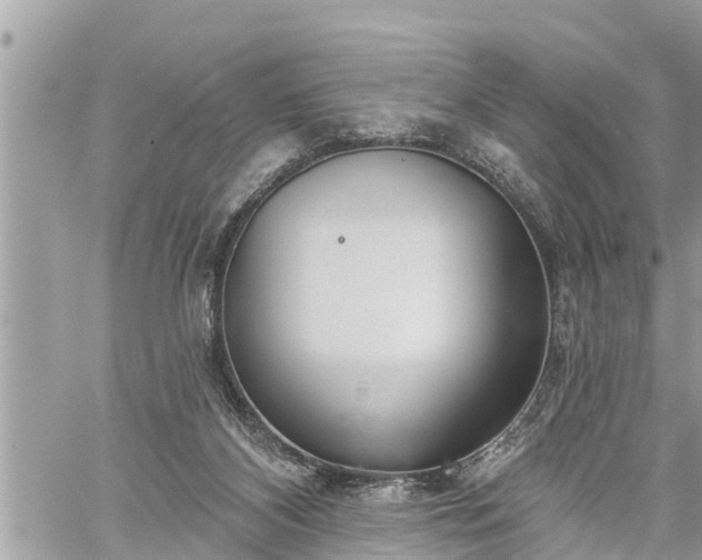 X0000060240116200510311532