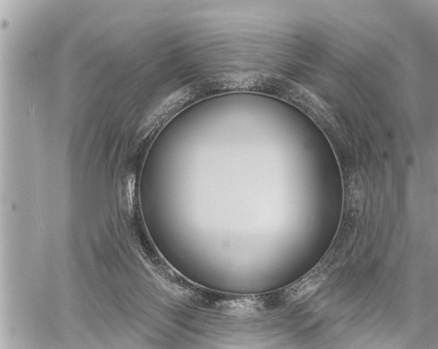 X0000060240118200510311532