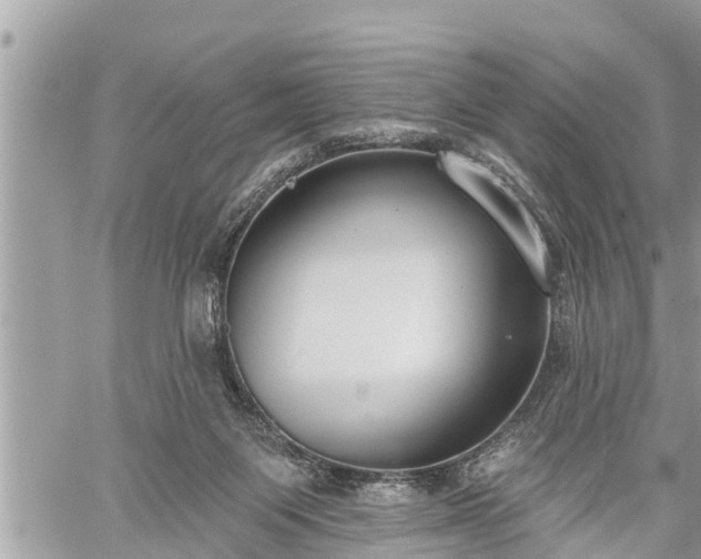 X0000060240119200510311532