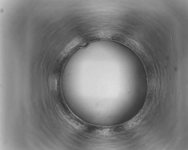 X0000060240120200510311532