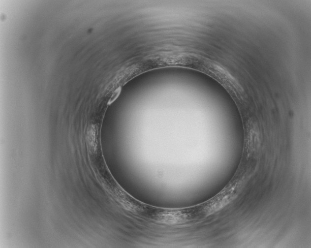 X0000060240121200510311532