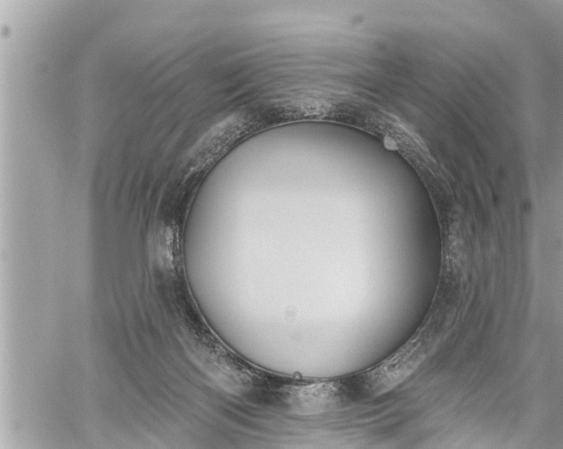 X0000060240122200510311532