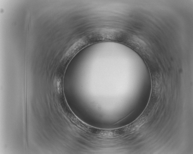 X0000060240123200510311532