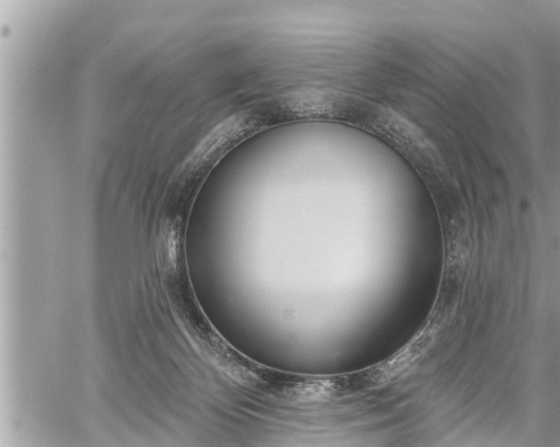 X0000060240124200510311532