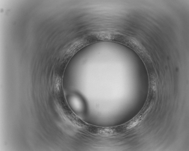 X0000060240125200510311532