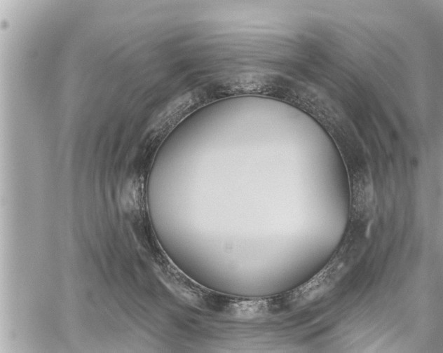 X0000060240126200510311532