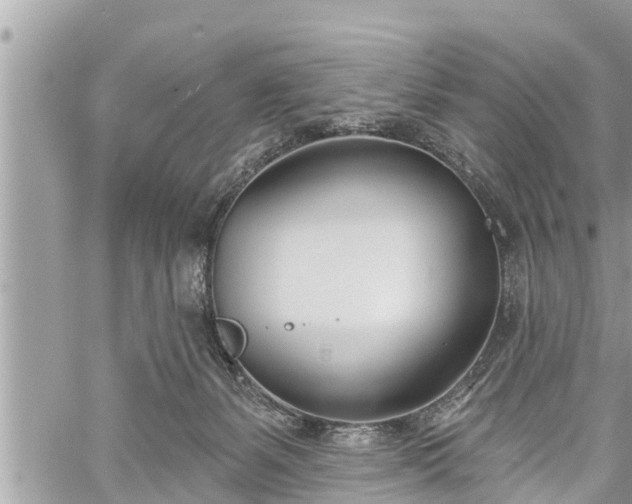 X0000060240127200510311532