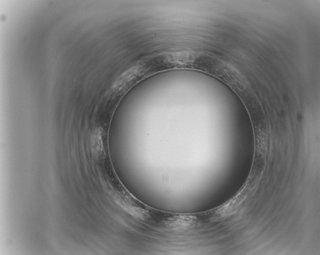 X0000060240128200510311532