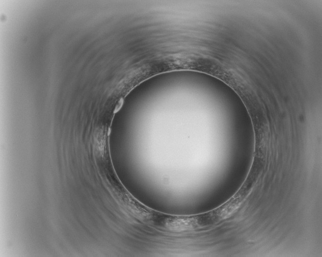 X0000060240129200510311532