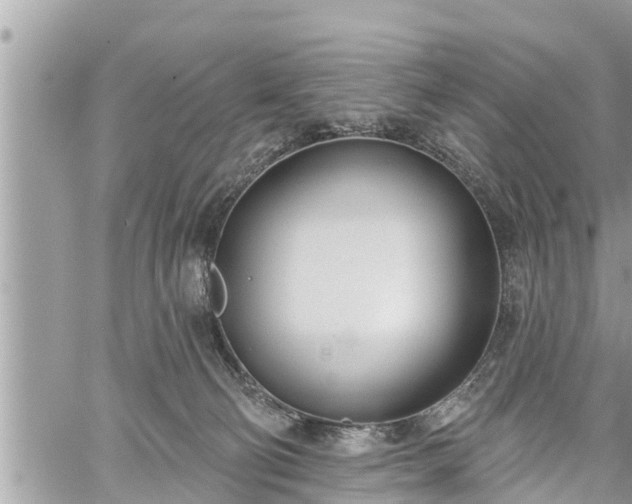 X0000060240130200510311532