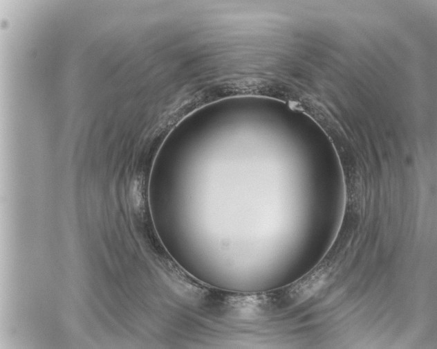 X0000060240131200510311532