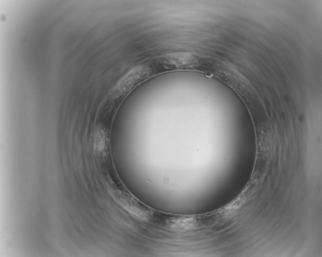 X0000060240132200510311532