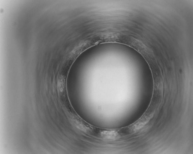 X0000060240133200510311532