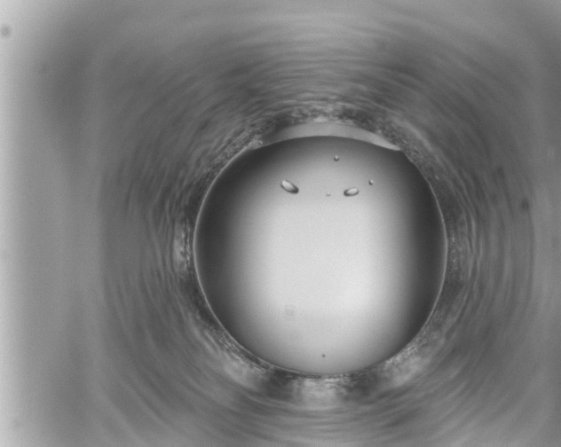 X0000060240134200510311532