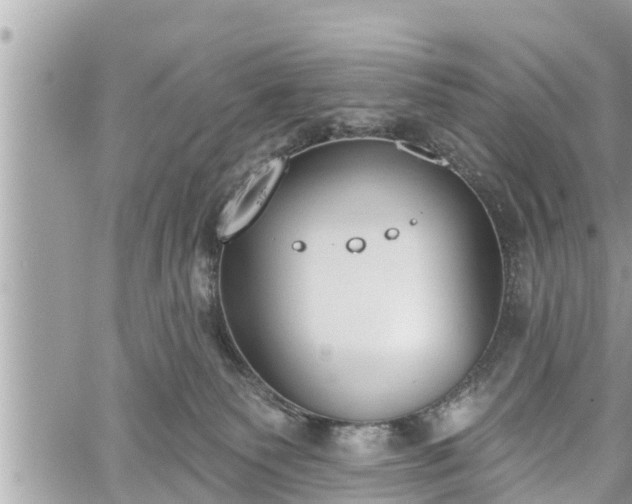 X0000060240135200510311532