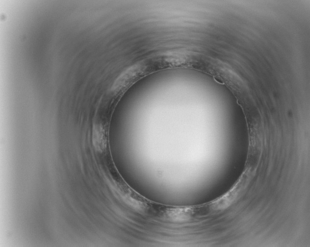 X0000060240136200510311532