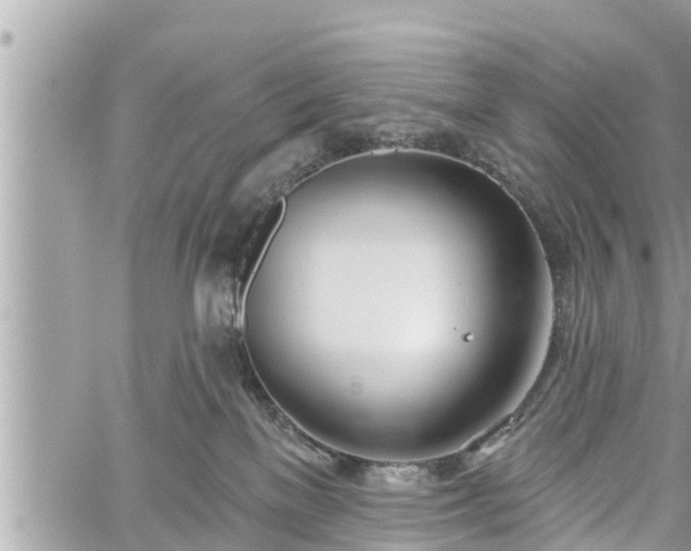 X0000060240137200510311532