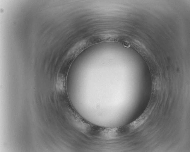 X0000060240138200510311532