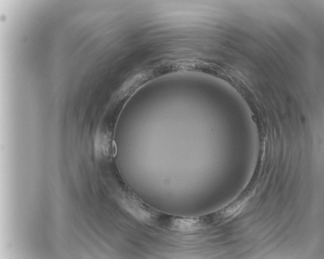 X0000060240139200510311532