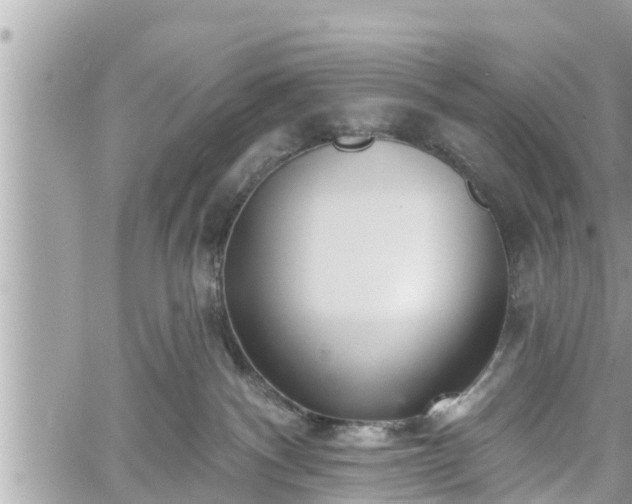 X0000060240140200510311532