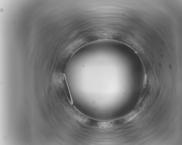 X0000060240141200510311532