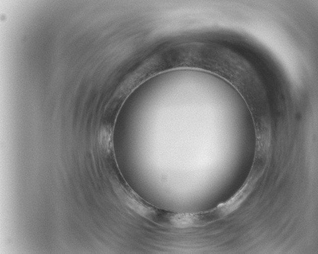 X0000060240142200510311532