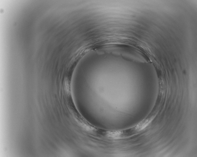 X0000060240143200510311532