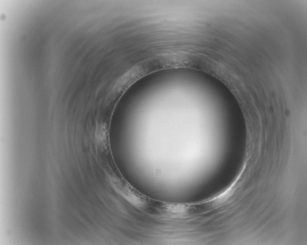 X0000060240144200510311532