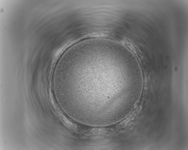 X0000060240145200510311531