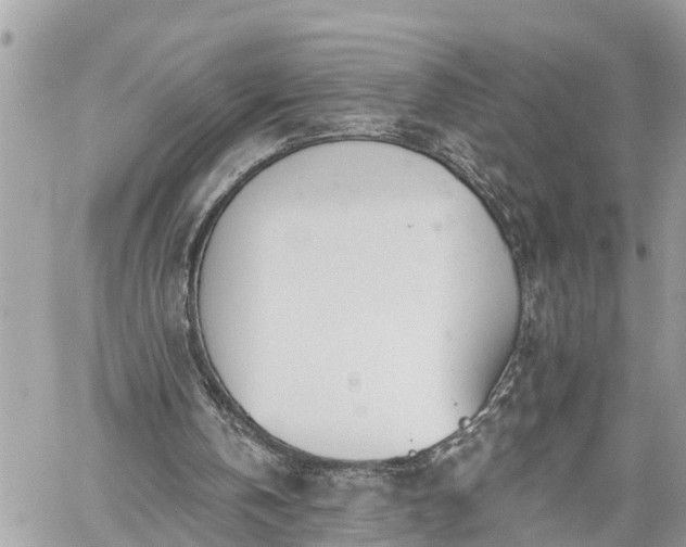 X0000060240146200510311531