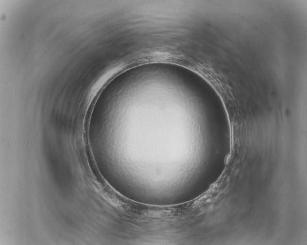 X0000060240147200510311531