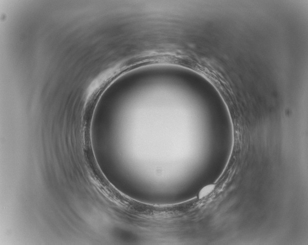 X0000060240149200510311531