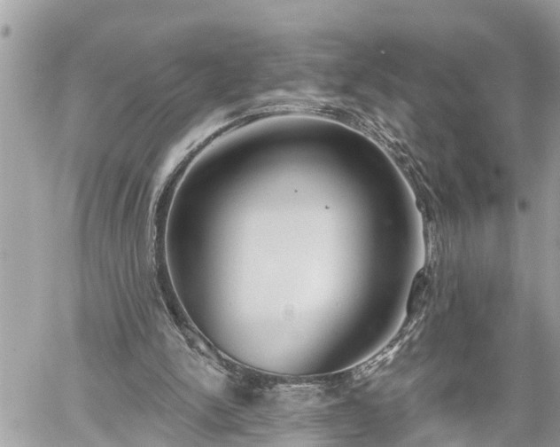 X0000060240150200510311531