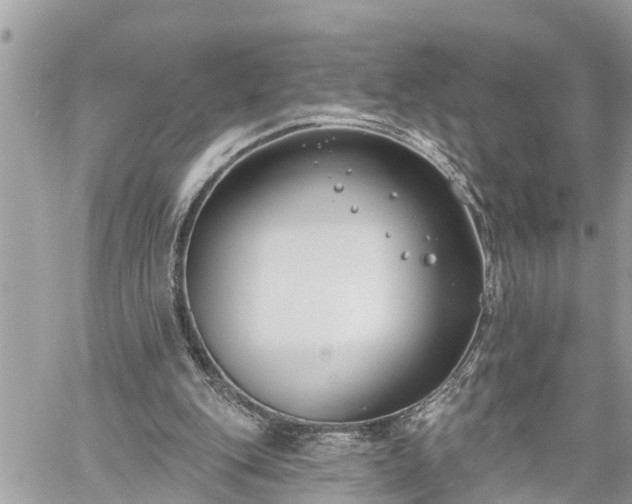 X0000060240151200510311531