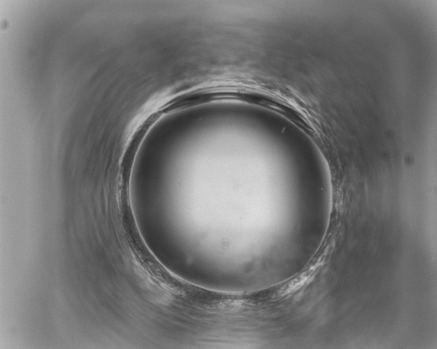 X0000060240152200510311531