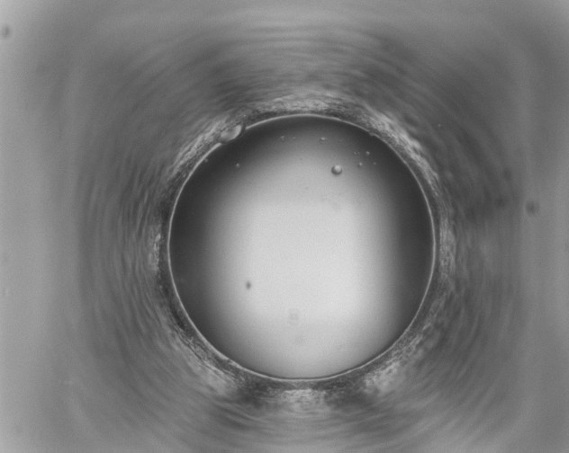 X0000060240153200510311531