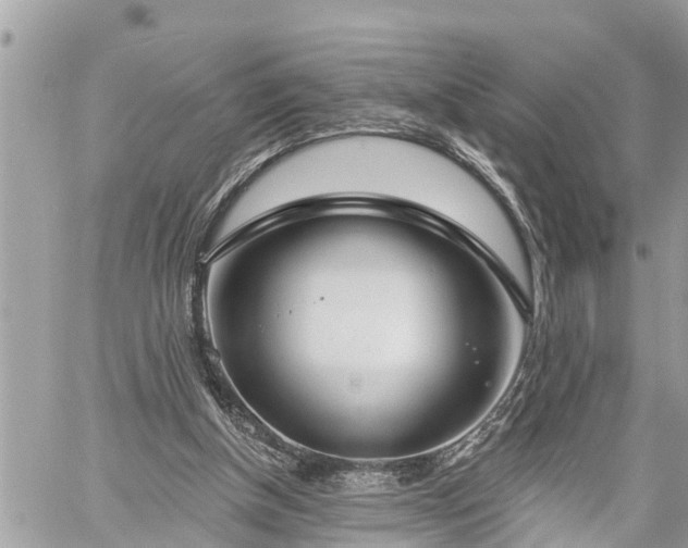 X0000060240154200510311531