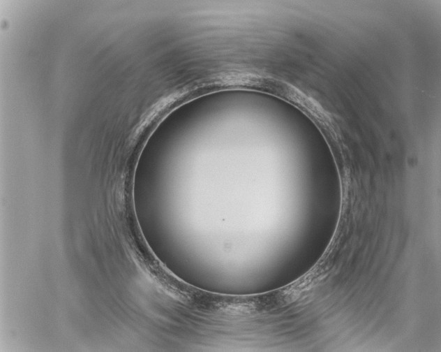 X0000060240155200510311531