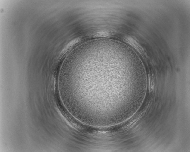 X0000060240157200510311531