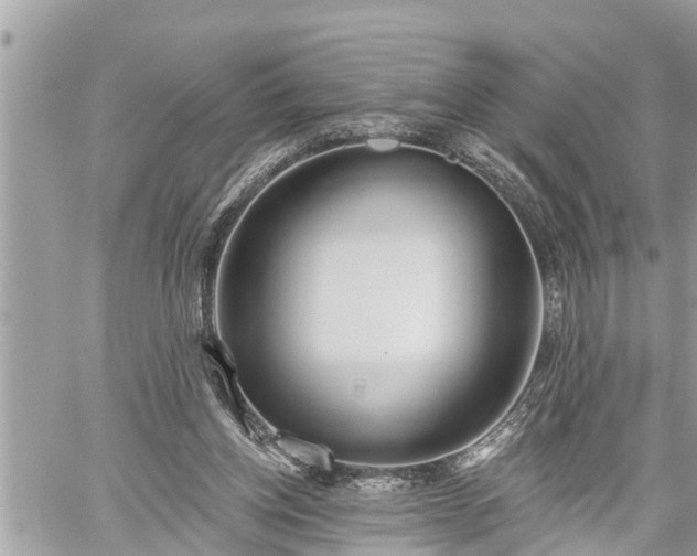 X0000060240158200510311531