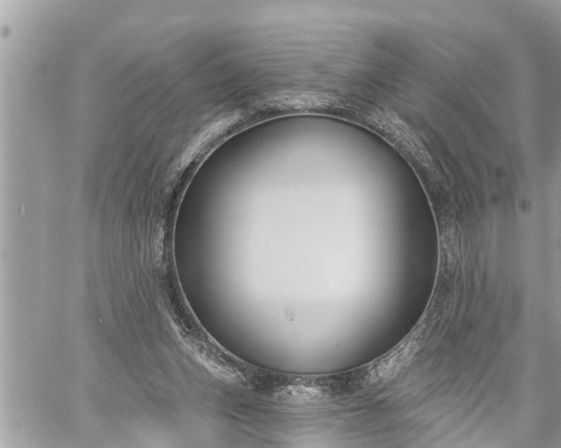 X0000060240159200510311531