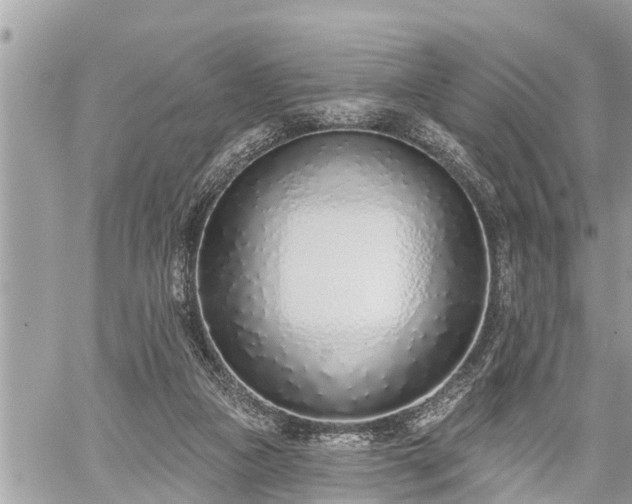 X0000060240161200510311531