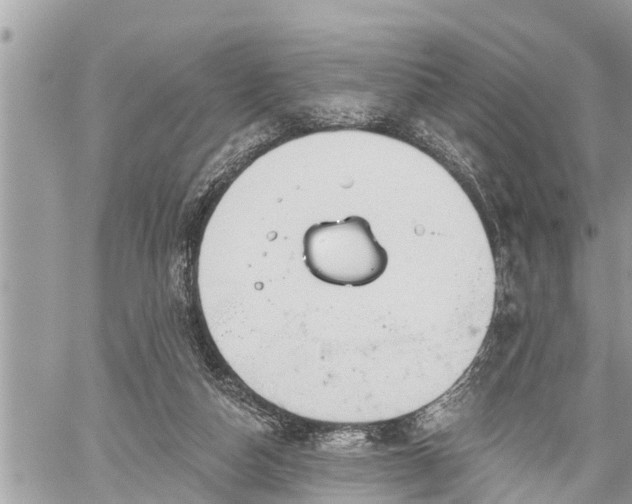 X0000060240162200510311531