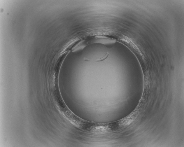 X0000060240163200510311531