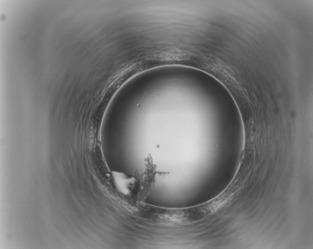 X0000060240164200510311531